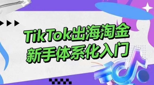 TikTok出海淘金，新手体系化入门，零基础快速入门，掌握短视频、直播带货等引流到变现的知识-星禾网创星球