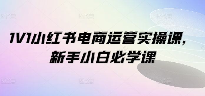 1V1小红书电商运营实操课，新手小白必学课-星禾网创星球