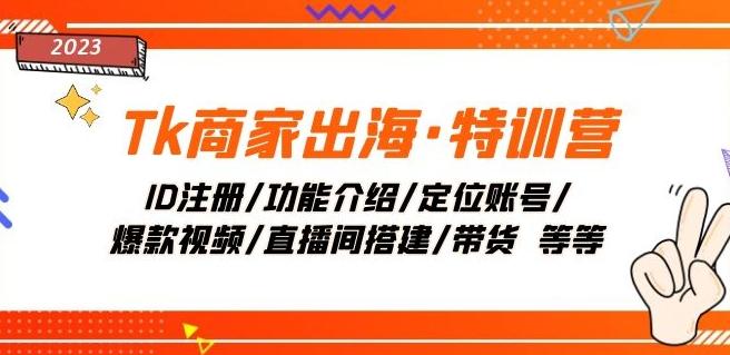 Tk商家出海·特训营：ID注册/功能介绍/定位账号/爆款视频/直播间搭建/带货-星禾网创星球