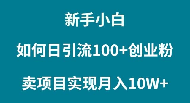 (9556期)新手小白如何通过卖项目实现月入10W+-星禾网创星球