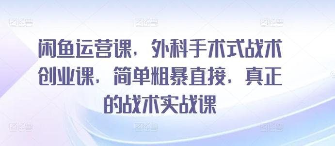 闲鱼运营课，外科手术式战术创业课，简单粗暴直接，真正的战术实战课-星禾网创星球