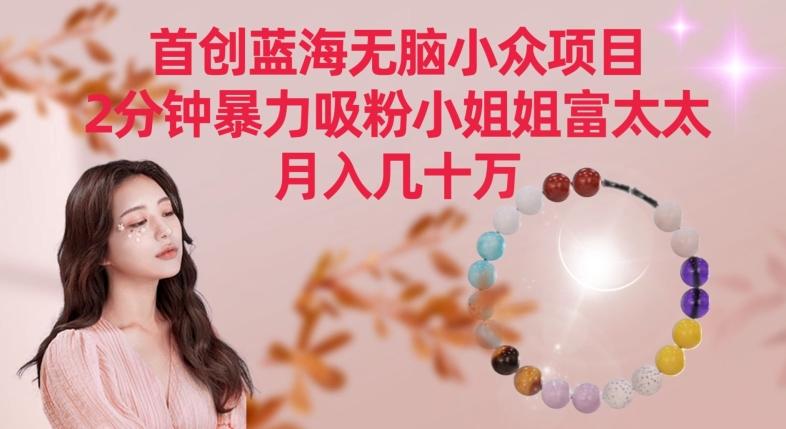 首创蓝海无脑小众项目，2分钟暴力吸粉小姐姐富太太，月入几十万【揭秘】-星禾网创星球