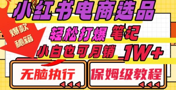 小红书电商爆款选品秘籍，帮你轻松打爆笔记，小白也可轻松月销10000+-星禾网创星球