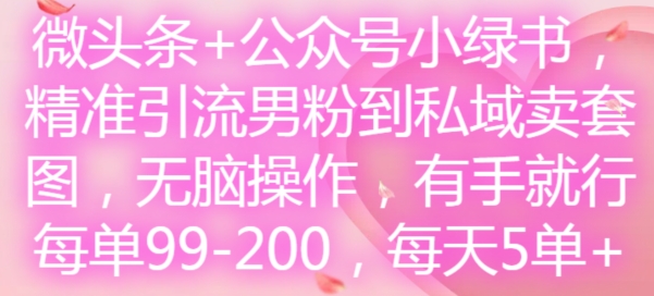 微头条+公众号小绿书，精准引流男粉到私域卖套图，无脑操作，有手就行，每单99-200，每天5单-星禾网创星球