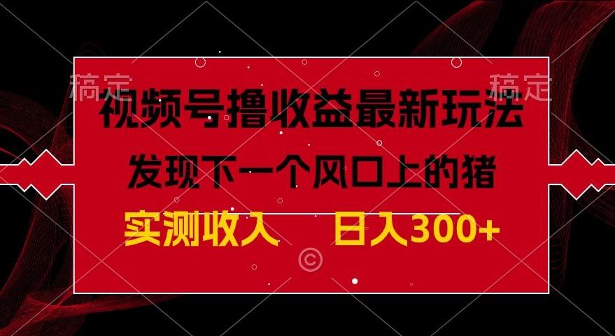 视频号分成计划最新玩法，单条作品几分钟制作完成,日入300+，过年前最后的冲刺-星禾网创星球