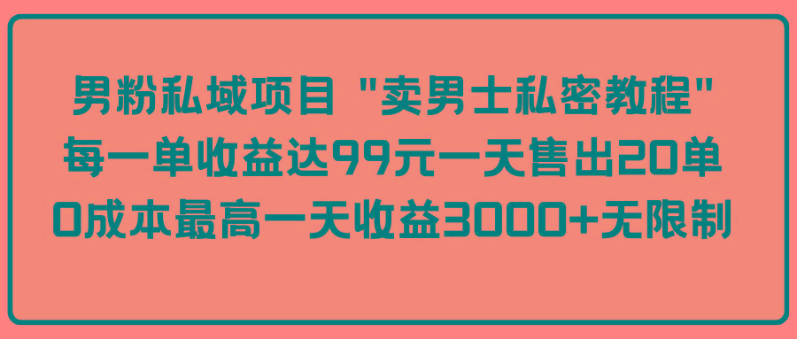 (9730期)男粉私域项目 "卖男士私密教程" 每一单收益达99元一天售出20单-星禾网创星球
