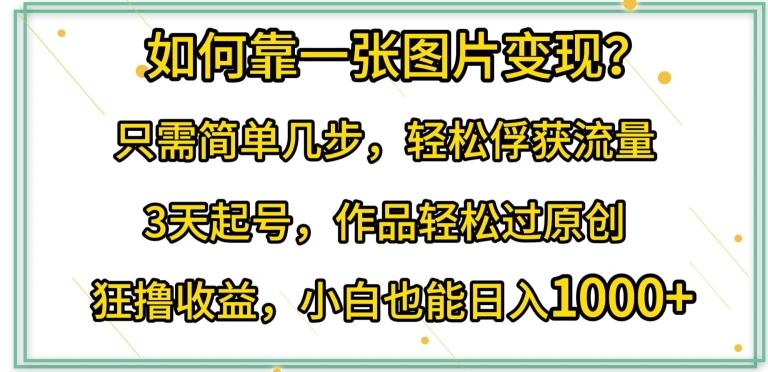 如何靠一张图片变现?只需简单几步，轻松俘获流量，3天起号，作品轻松过原创【揭秘】-星禾网创星球
