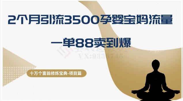 十万个富翁修炼宝典之13.2个月引流3500孕婴宝妈流量，一单88卖到爆-星禾网创星球