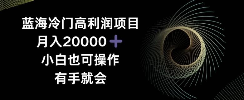 蓝海冷门高利润项目月入2000，小白也可操作有手就会-星禾网创星球