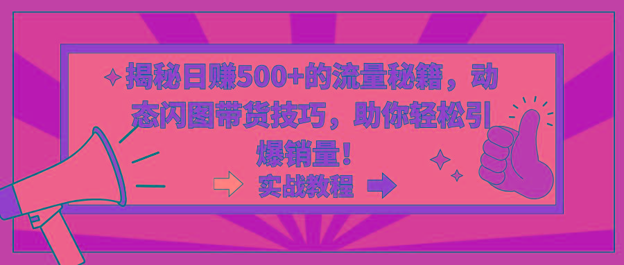 揭秘日赚500+的流量秘籍，动态闪图带货技巧，助你轻松引爆销量！-星禾网创星球